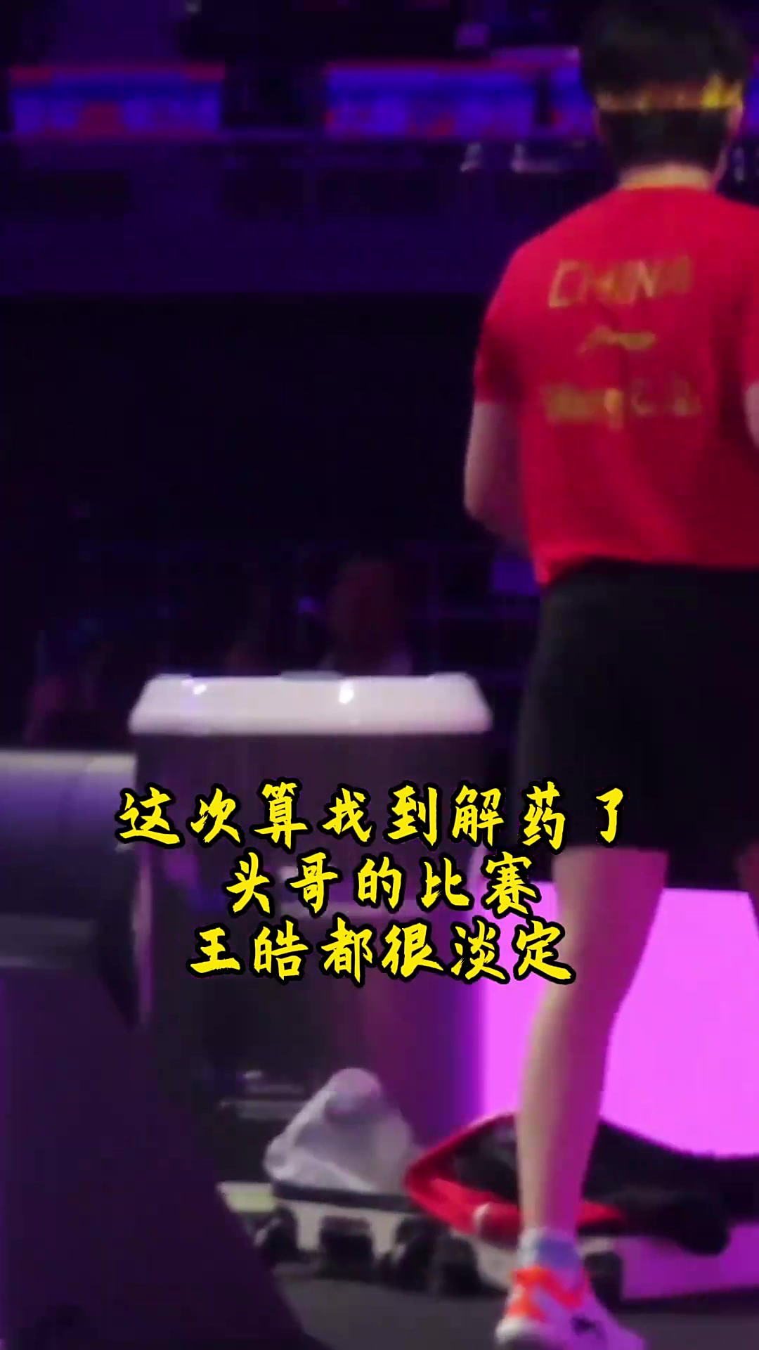 法国乒乓球队血洗波兰乒乓球队，王皓一己之力扛起全队的简单介绍