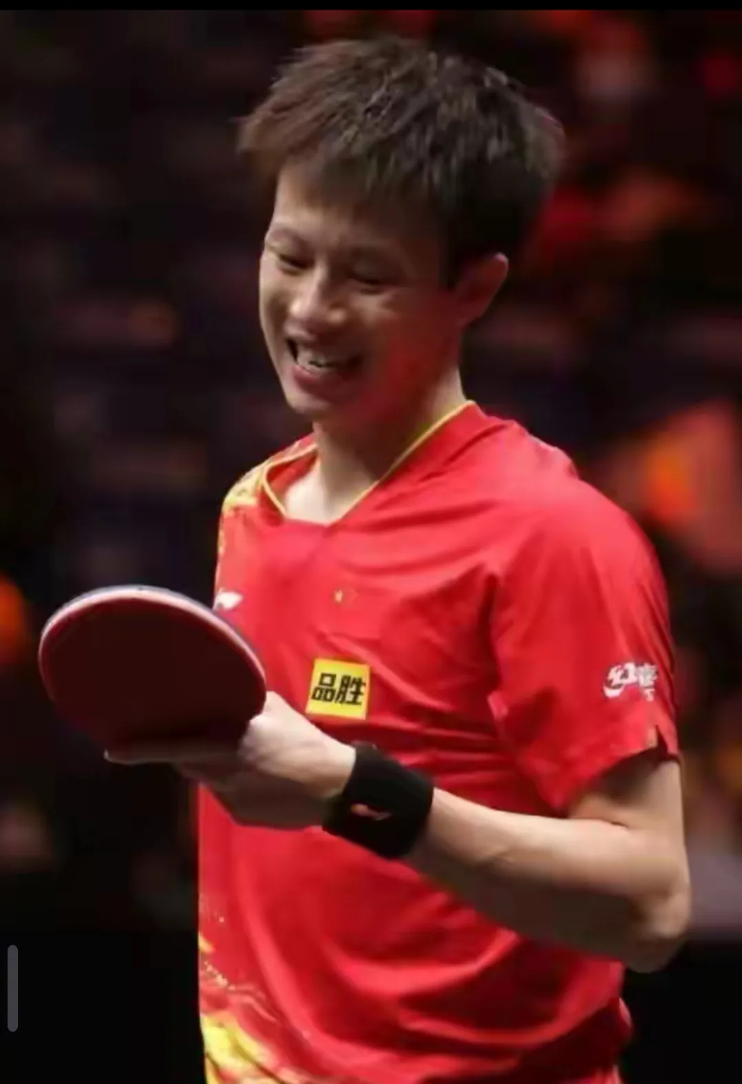 日本乒乓球队力克韩国乒乓球队，王皓爆发神勇的简单介绍